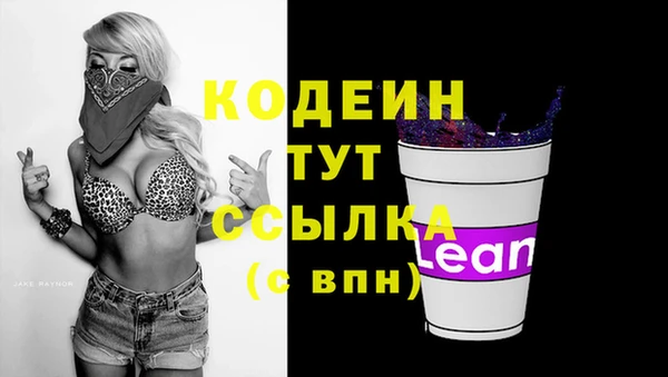 apvp Кирсанов